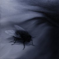 El vuelo de la mosca XXXII