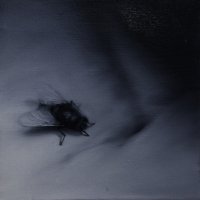 El vuelo de la mosca XXXIII