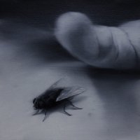 El vuelo de la mosca XXXIV