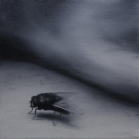 El vuelo de la mosca XXXV