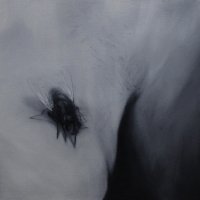 El vuelo de la mosca XXXVI