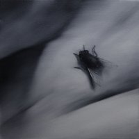 El vuelo de la mosca XXXVII