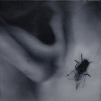 El vuelo de la mosca XXXVIII