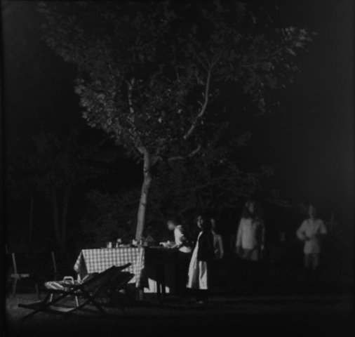 El árbol de Porfirio