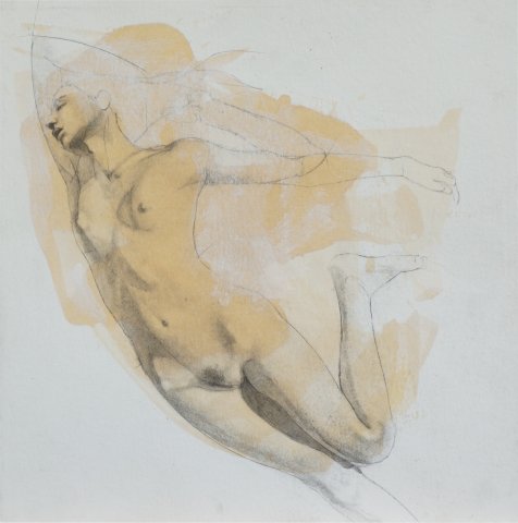 Dibujo II