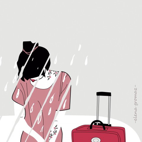 Pasaportes
