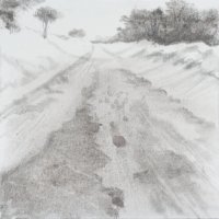 Dunas de sal I