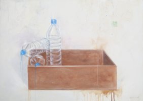 Caja con botellas