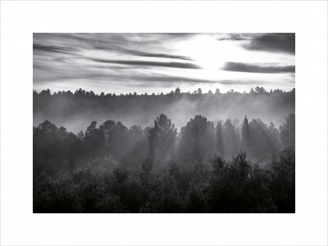 Brumas (Serie "Negratín")