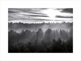 Brumas (Serie "Negratín")