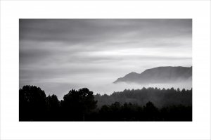 Dawn (Serie "Negratín")