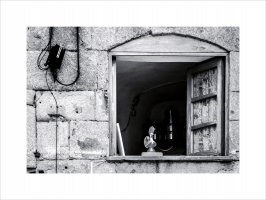 El gallo (Serie "Freguesías")