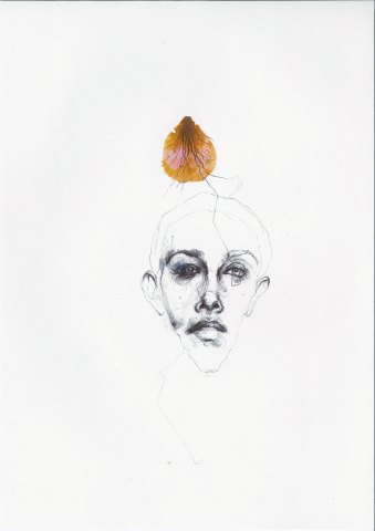 Algunas plantas (Serie Historias de mí) 