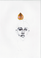 Algunas plantas (Serie Historias de mí) 