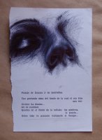 Serie Hojas de Sombra. “Paisaje de llanura y montaña…”