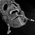 Black mask I