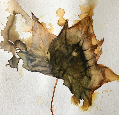 Hoja seca III
