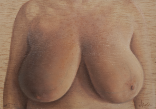 Diversidad. Realidad. XIV