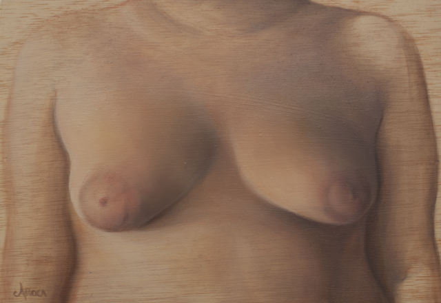 Diversidad. Realidad. XIX