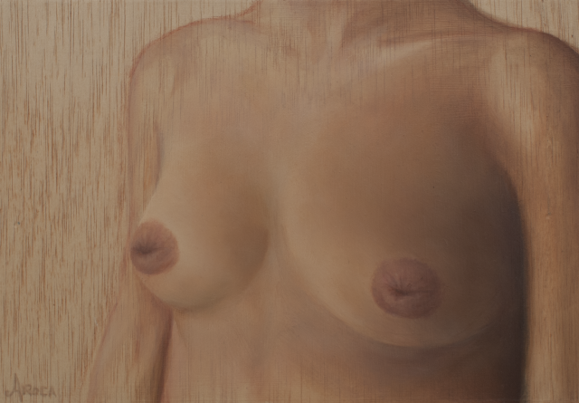 Diversidad. Realidad. XVI