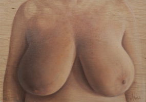 Diversidad. Realidad. XIV