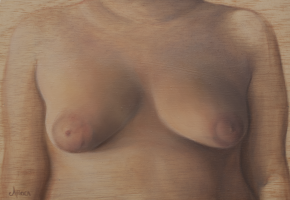 Diversidad. Realidad. XIX