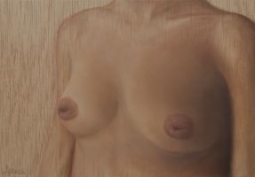 Diversidad. Realidad. XVI