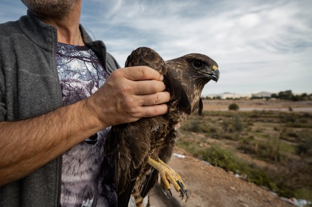 Animal esperando su turno para ser rescatado