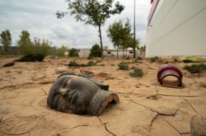 Cabeza de buda, en Bauhaus del polígono de Alfafar