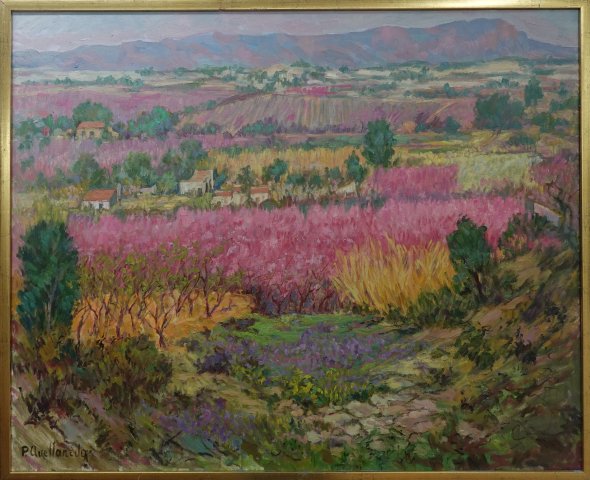 Primavera en el campo de Cieza