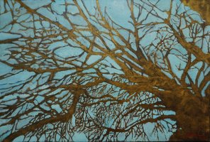 Mucho tiempo buscando