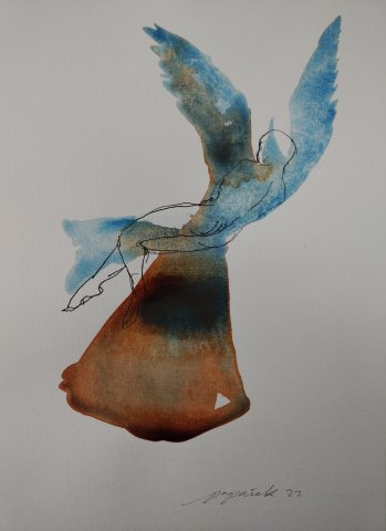 Collateral Damage 02