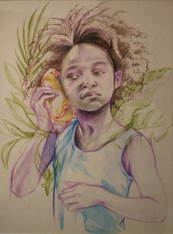 Bestias del sur salvajes