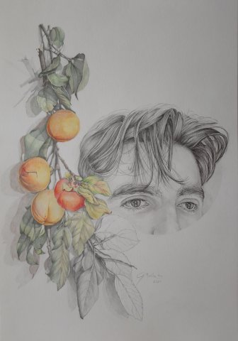 Alegoría a la cosecha. Caquis