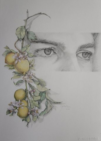 Alegoría a la cosecha. Limones