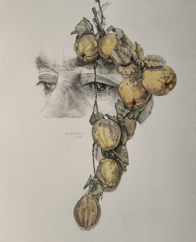 Alegoría a la cosecha. Membrillos