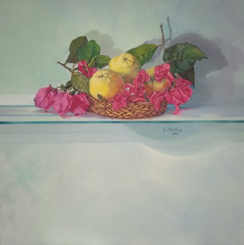 Naturaleza muerta con buganvilla