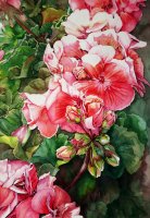 Mediodía en el balcón