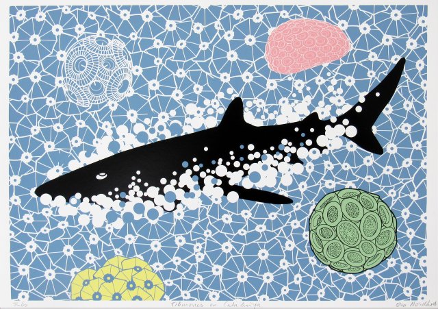 Tiburones en Catalunya