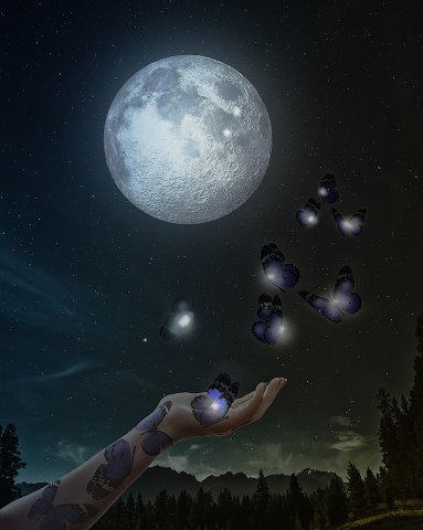 La hacedora de mariposas