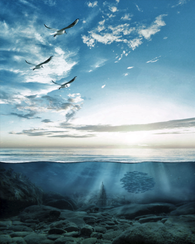 Las sardinas van de entierro