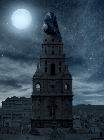 Visita nocturna a la Catedral