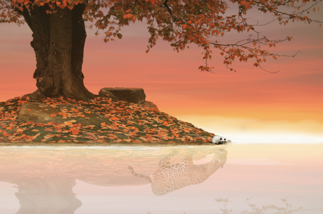 ¿Y tú como me ves?