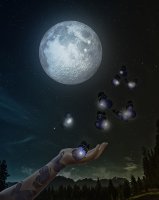 La hacedora de mariposas