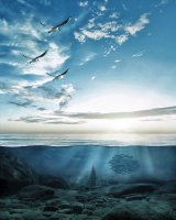 Las sardinas van de entierro