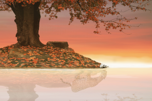 ¿Y tú como me ves?