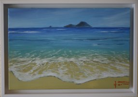 Isla Grosa desde el km 12