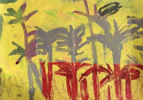 Palmeras Zaraiche - 6