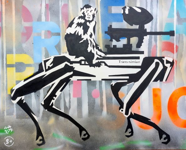 Trans-simian B1