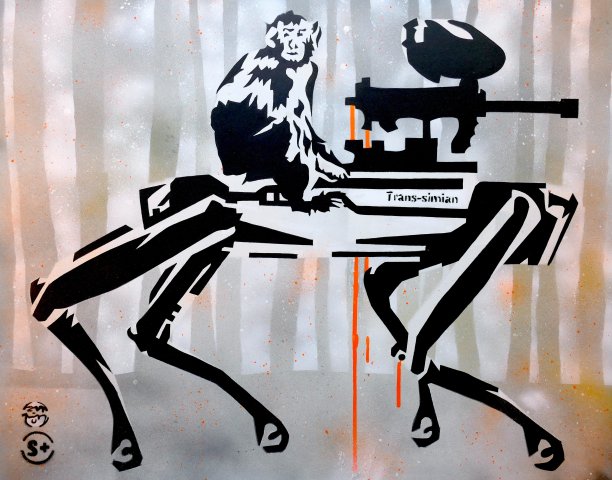 Trans-simian B2